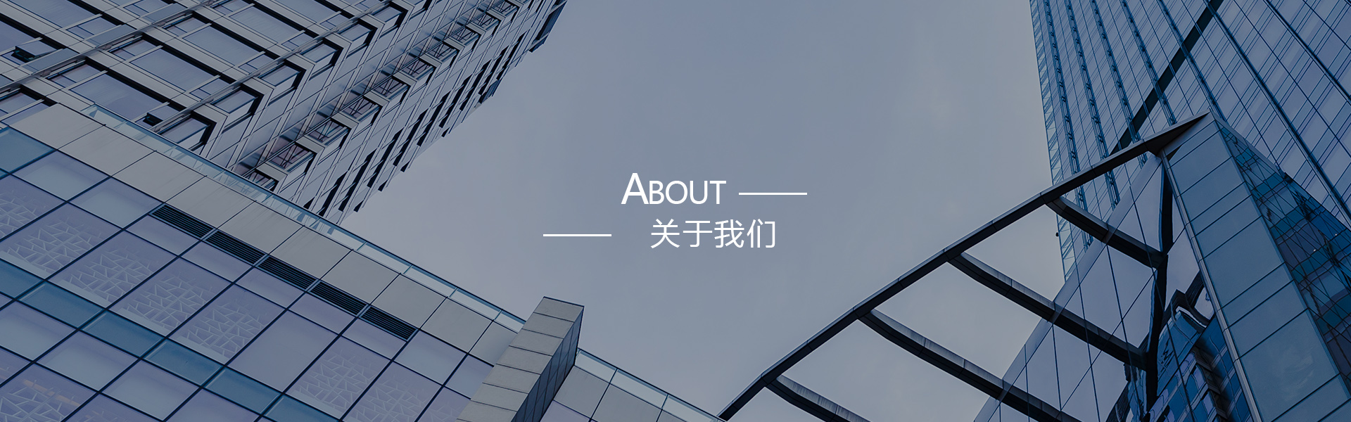 公司简介